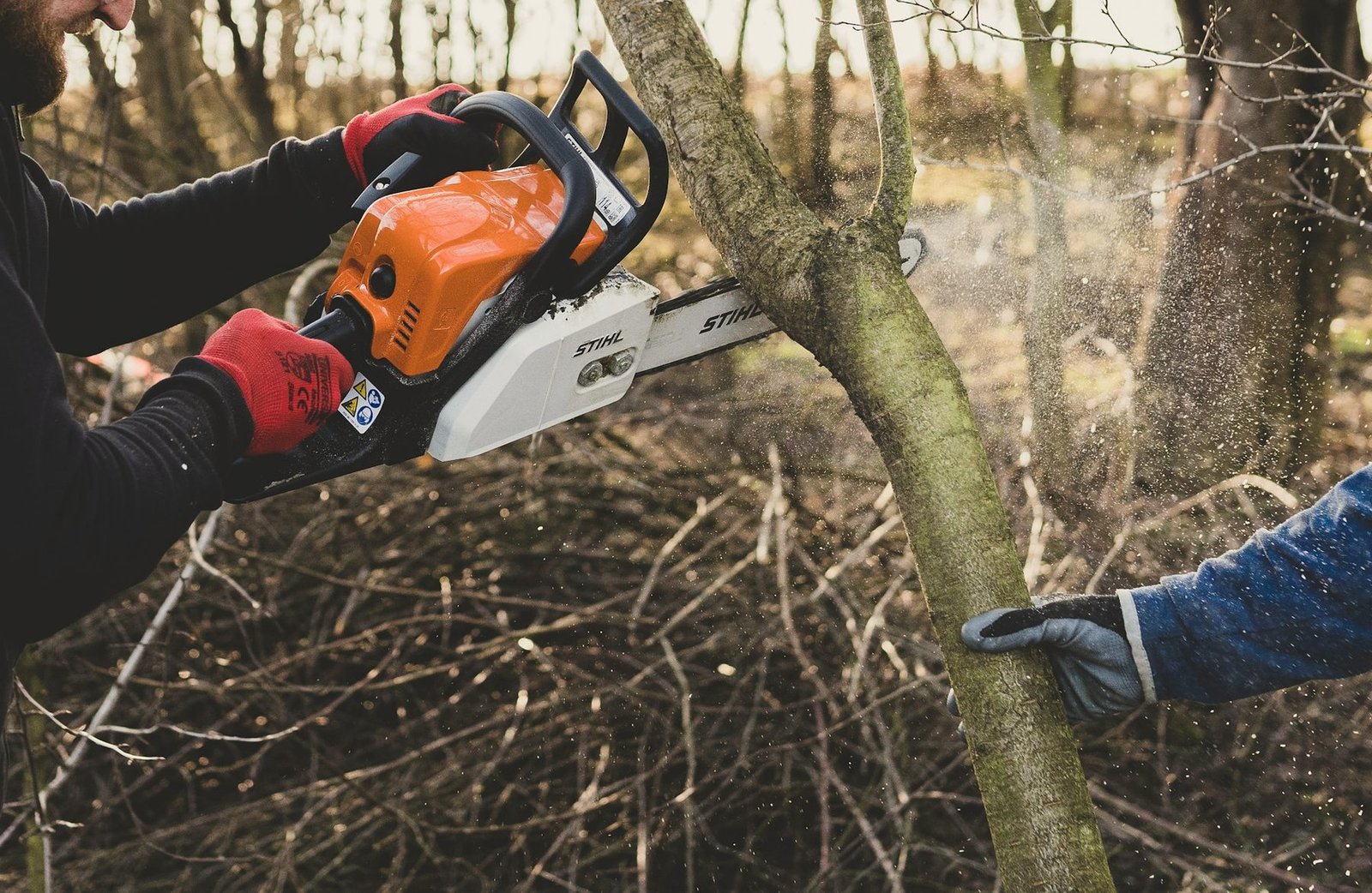 Gloved hands running a chainsaw through a pile of brush
